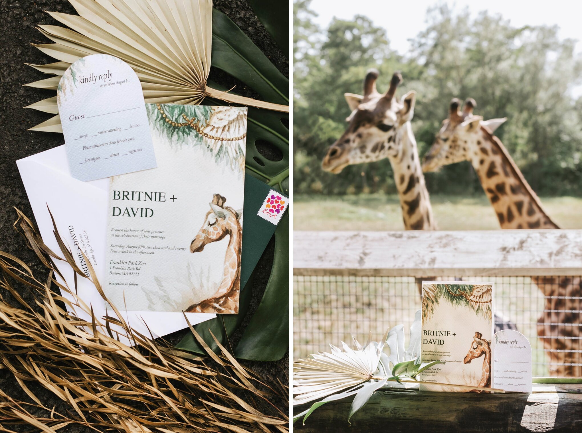 Zoo-New-England-Wedding-Elopement-Lena-Mirisola-Boston-Elopement-Photographer-01.JPG